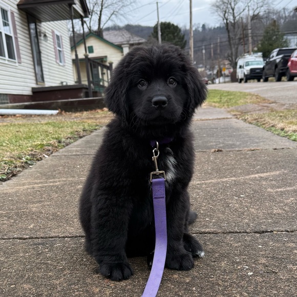 Meet your Posher, Maria - Picture 11 of 11